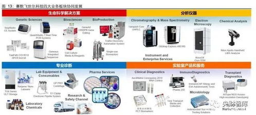 央財智庫 生命科學服務(wù)行業(yè)研究——創(chuàng)新研發(fā)為基石，產(chǎn)品力鑄就高護城河，兼論重慶計算機軟硬件研發(fā)及銷售的啟示